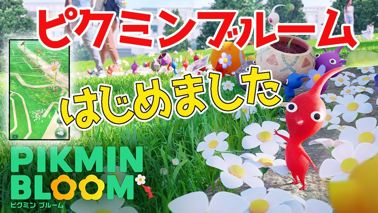 ピクミンブルーム 花びらをお得にgetしよう 知らないと損するエキスのあげかた Pikmin Bloom Youtube