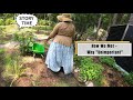 Storytime how we met and why unimportant homestead  garden walk