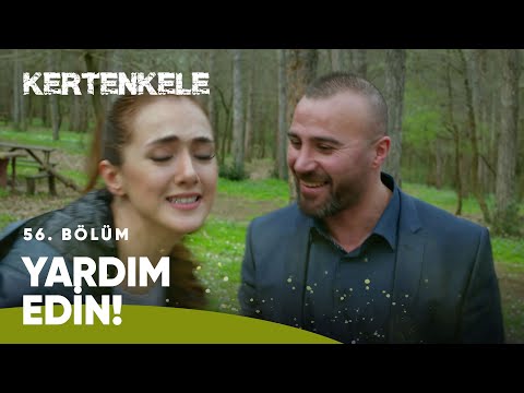 Melis'in başına korkunç şey geldi | Kertenkele 56. Bölüm 🦎