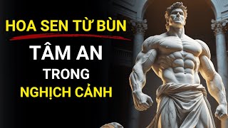 Chủ nghĩa khắc kỷ: Hoa sen từ bùn - TÂM AN trong NGHỊCH CẢNH