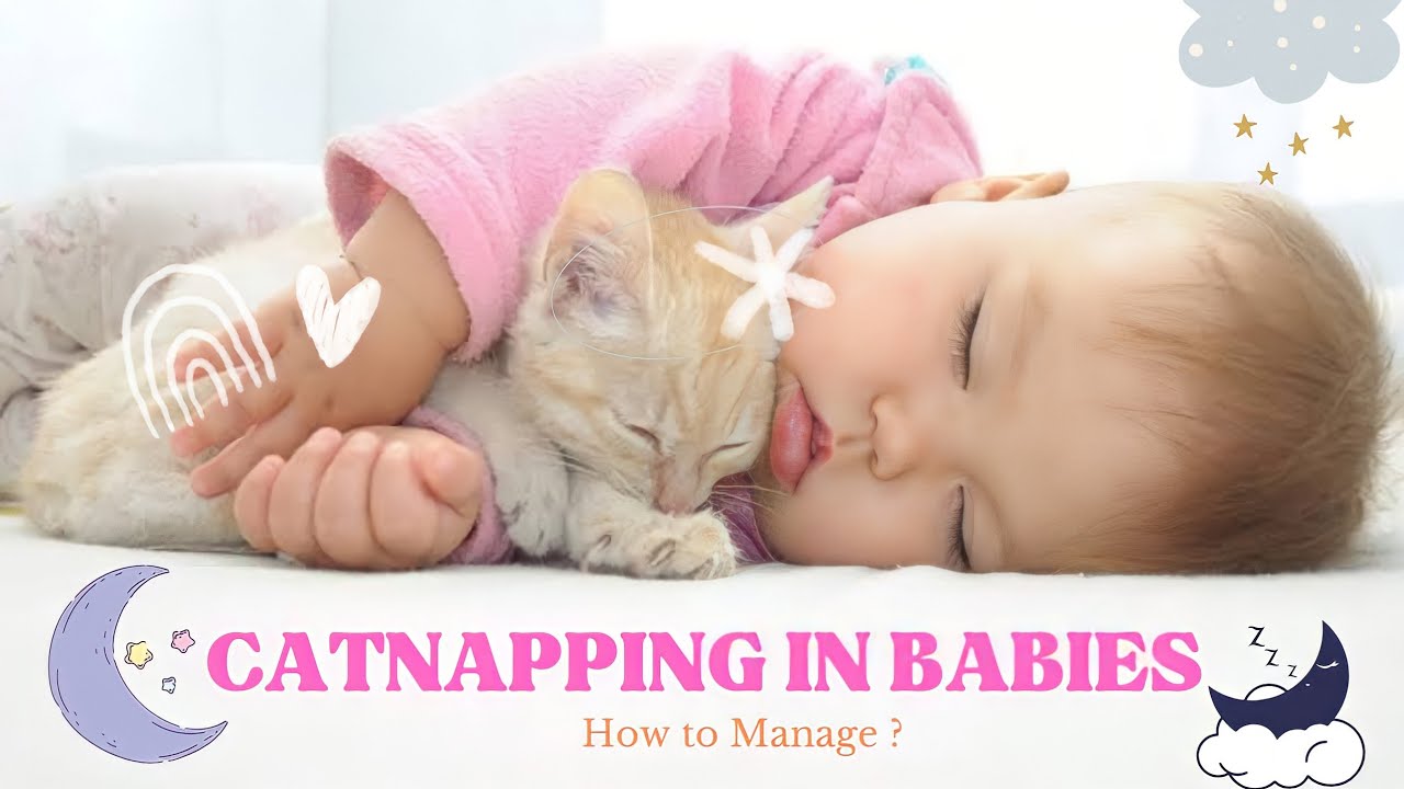 𝐂𝐚𝐭𝐍𝐚𝐩𝐩𝐢𝐧𝐠 𝐢𝐧 𝐁𝐚𝐛𝐢𝐞𝐬 👶🏻💤 𝐇𝐨𝐰 𝐭𝐨 𝐌𝐚𝐧𝐚𝐠𝐞 ? 𝐀𝐝𝐣𝐮𝐬𝐭 𝐁𝐚𝐛𝐢𝐞𝐬 𝐒𝐥𝐞𝐞𝐩𝐢𝐧𝐠