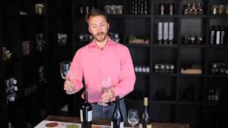 Discover Chile - Selecting the Perfect Wine Glass