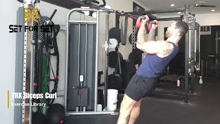 TRX Biceps Curl | SFS Exercise Library