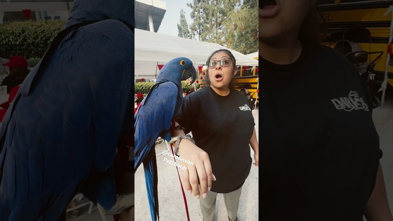 Эта женщина обожает птиц… и то, что произошло дальше, заставило её улыбнуться.