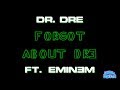 Forgot About Dre Dr Dre Ft Eminem Karaoke