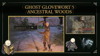 ELDEN RING™ Ancestral Woods ghost glovewort 5 location