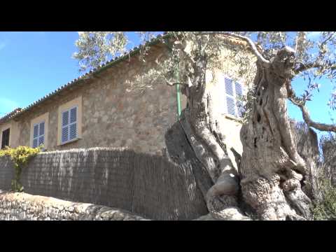 Vídeo: Com Relaxar-se A Mallorca