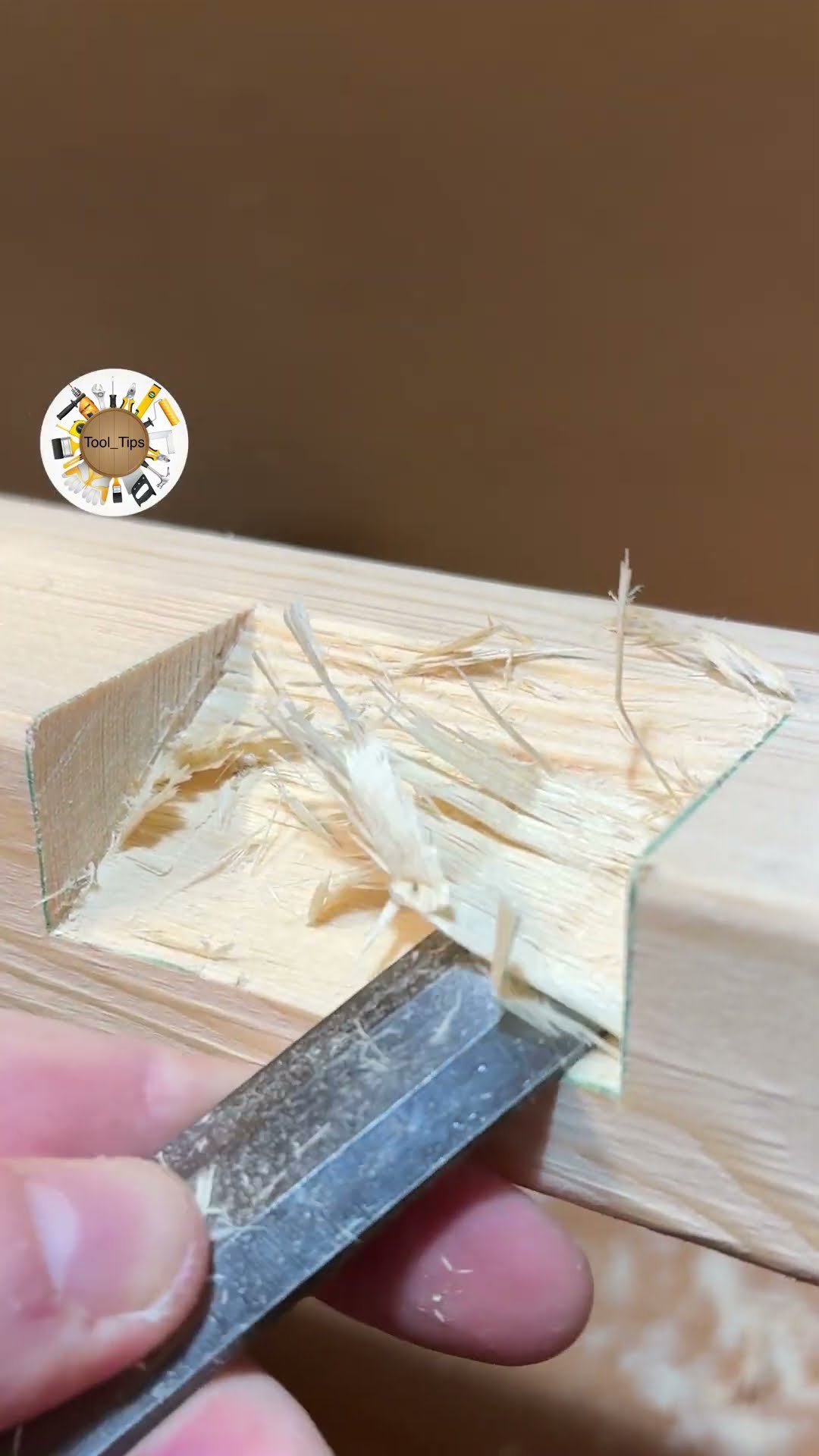 Wood Repair Tip #woodworking