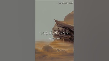 سورة المطففين من آيه 13 إلى آيه 22 بصوت الشيخ ياسر الدوسري❤❤