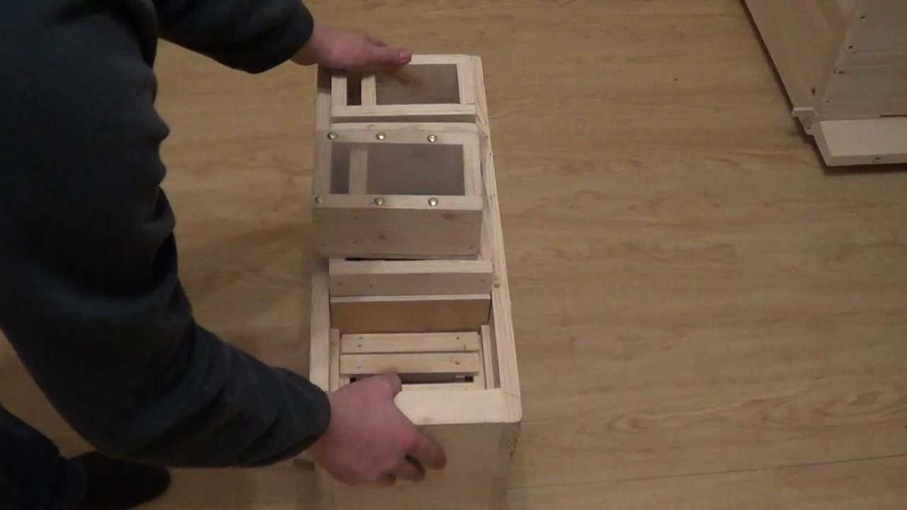 Нуклеус на 4 матки