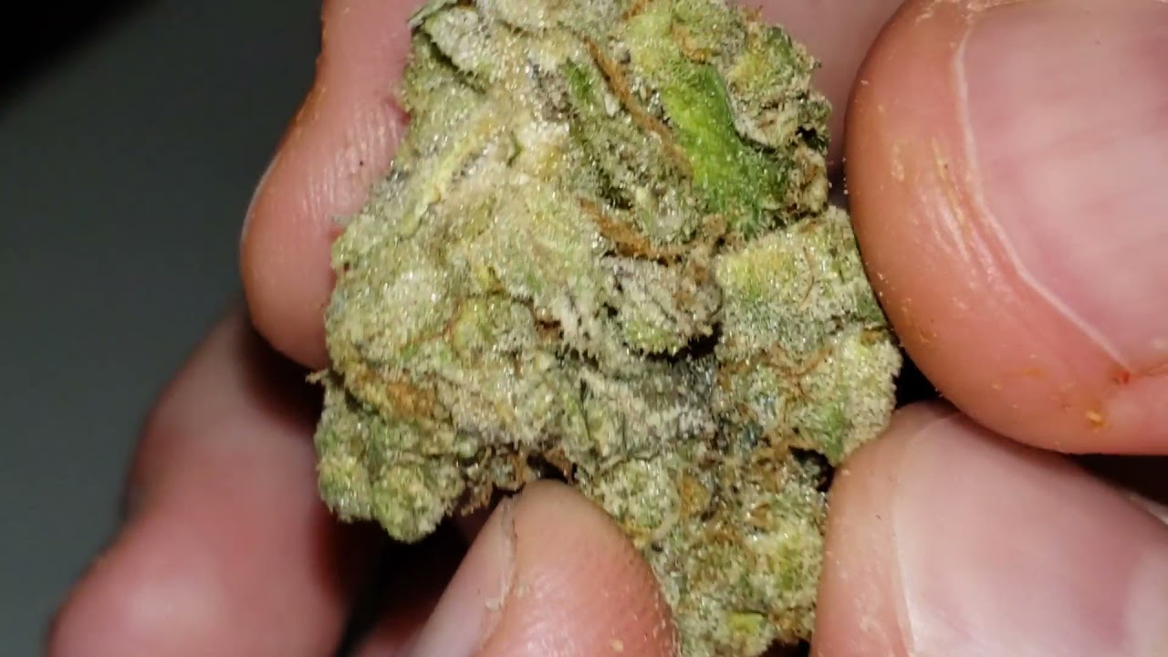 STRAIN REVIEW 210: mint chocolate chip - Hushcannabis
