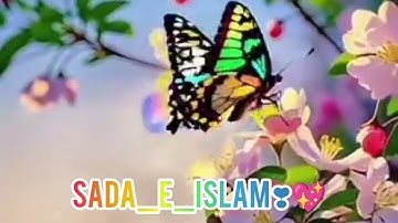 القارئ سعيد اسلام اجمل تلاوة القران الكريم#islamicvideo #surat #tilawatwordbyword