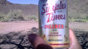 Simpler Times Pilsner Beer Review (#8)