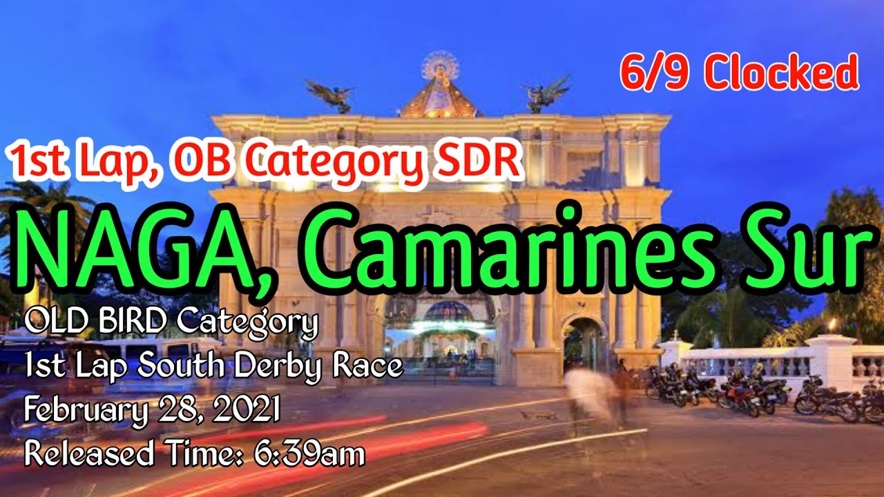 Kalapati ni Kirkey | Kirk Mervin Loft SDR 1st Lap NAGA, Camarines Sur