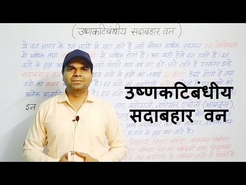 वीडियो: उष्णकटिबंधीय सदाबहार क्या है?