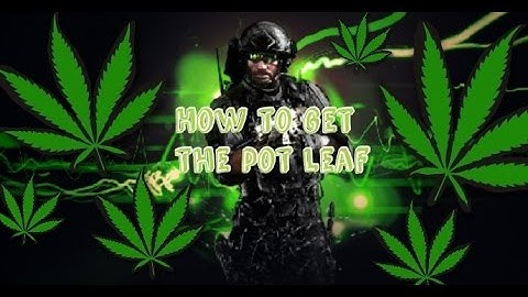 How to get pot leaf emblem MW3