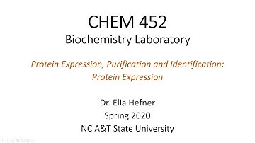 Protein Expression, Purification and Identification: Protein Expression