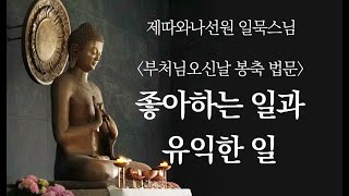 좋아하는 일과 유익한 일ㅣ일묵스님ㅣ제따와나선원 부처님오신날 봉축 법문 2024.05.15
