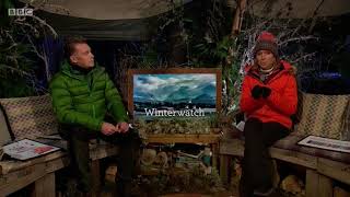 Winterwatch appearance, January 2020