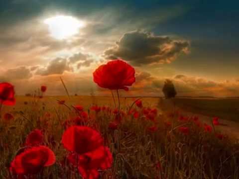 Evanthia Reboutsika The return YouTube