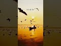 Tum Tak #Ranjhnamovie #banarasdiaries #banarasreels #banaras #bollywoodsongs
