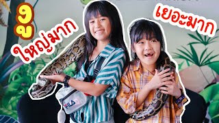 จับงูตัวใหญ่พาดคอ ร้อยแก้ว รู้สึกยังไง? Siam Serpentarium? งูเยอะมาก งูใหญ่มาก I RoyKeaw All Area