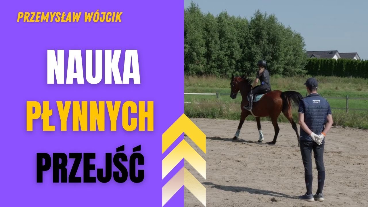 Przejścia stęp – kłus – galop: trening konia krok po kroku