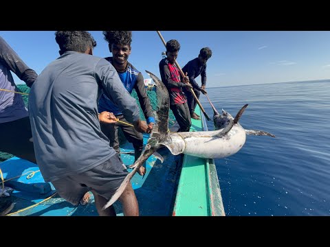 WOW!!! A Deep Sea Documentary By Kadalmakrii |Gillnet Fishing | Ep-7|
