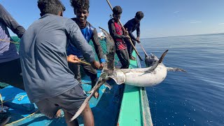 WOW!!! A Deep Sea Documentary By Kadalmakrii |Gillnet Fishing | Ep-7|