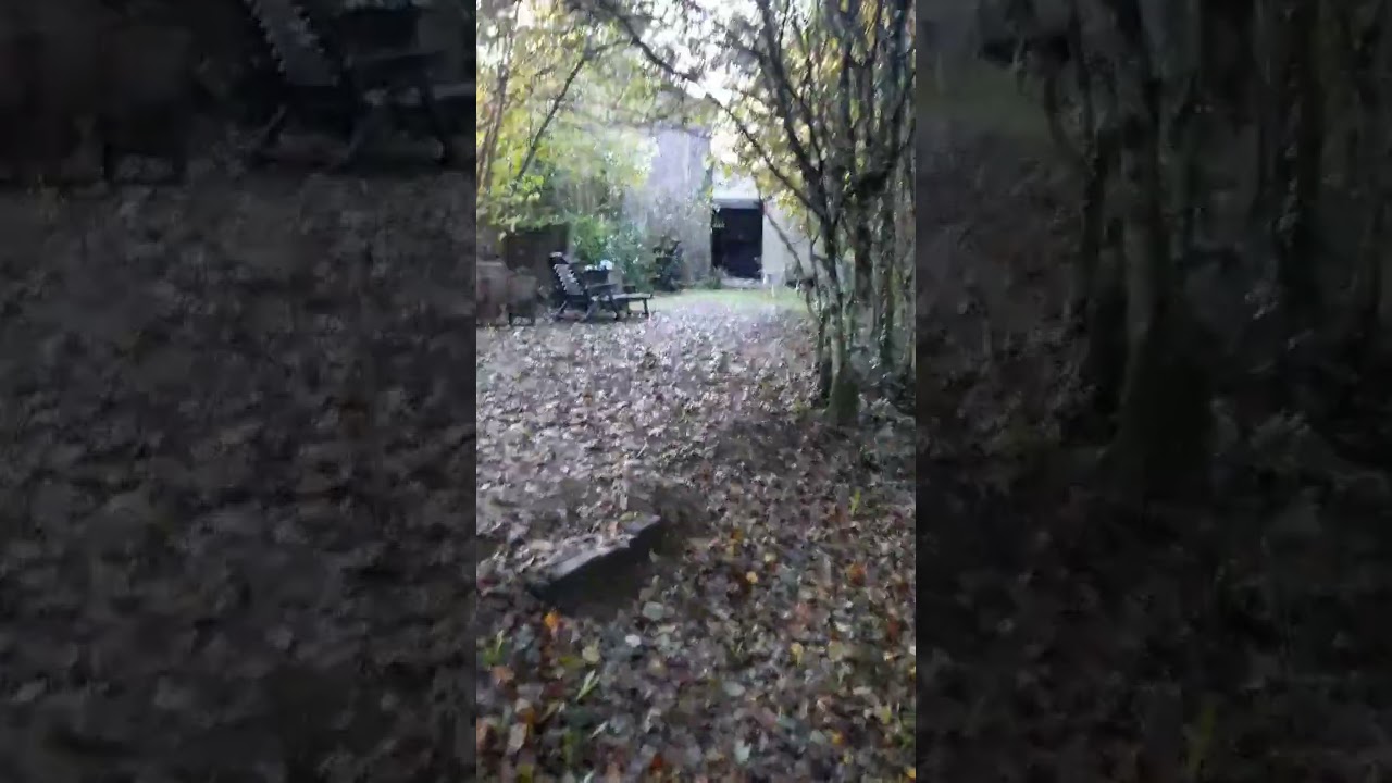 Ghosts captured while walking dogs 