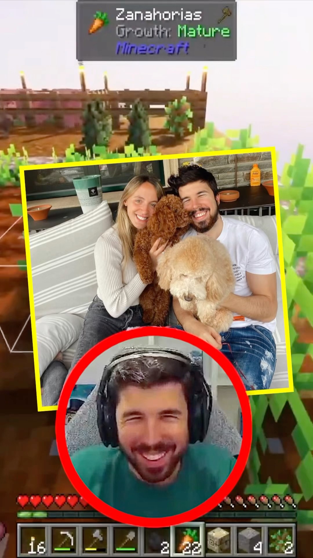 Perros vs Gatos ?