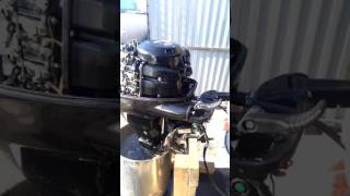 Suzuki DF30 2007 Suzuki DF30 2007