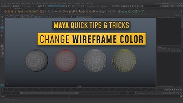 #MayaQuickTip l Change #WireframeColor in #Maya
