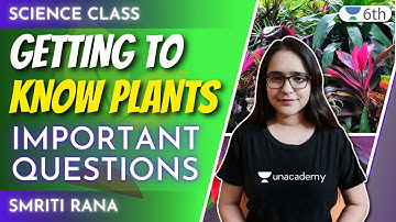 Getting to Know Plants | Important Question | Menti Quiz | Science | Unacademy Class 6 | Smriti Rana