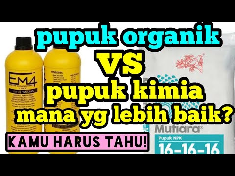 Video: Mengapa pupuk sintetis lebih baik daripada pupuk alami?