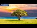 Serotonin Release Music with Alpha Waves - 10 Hz Binaural Beats, Healing Music, Happiness Frequency