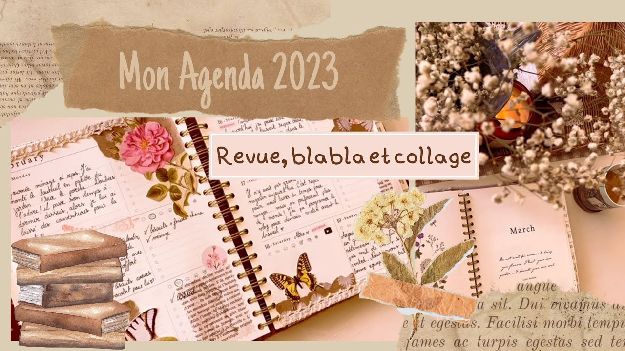 Agenda 2023 : Revue Kokonote, et mon évolution avec les planners ♡ 