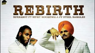 Celebrity Rebirth (official song) | Sidhumoosewala x Burnaboy x Steelbanglez | #sidhumoosewala  Net Worth