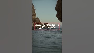 ترجمة معاني القرآن الكريم _ الترجمة الإنجليزية _ سورة النحل Surah An-Nahl Translated To English