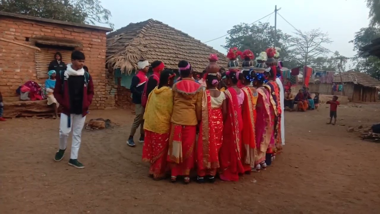 Malto Video Robert Malto