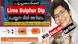 How To Use Lime Sulphur Dip In Cats?| Safe Procedure | Fight Fungus ‎@NANDAS pets&us | Vahana Subash