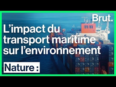 Vidéo: Quel est l'impact des véhicules à moteur sur l'environnement ?