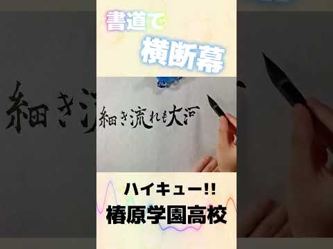 椿原学園 ハイキュー ハイキュー!! リミックス版 9巻10巻11巻 3