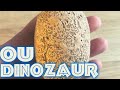 Archeology Toy, Open dinosaur egg, Videos for children