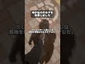 【第5話】母との地獄の再会 #Shorts