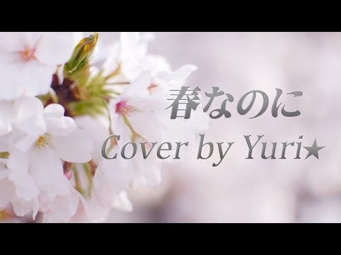 春なのに(柏原芳恵) Cover by Yuri★ Harunanoni/Yoshie kashiwabara