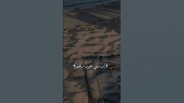 ايات القران الكريم