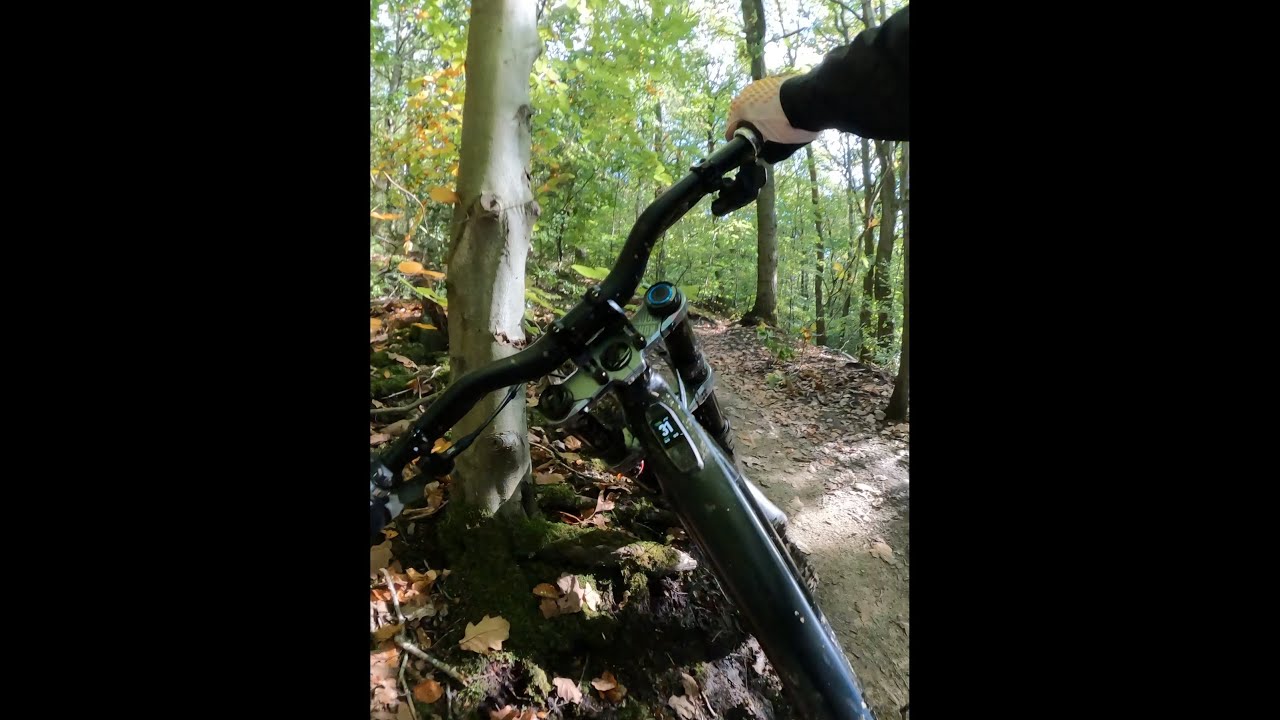 I hit a tree with my face at 31kph in Wharncliffe woods 
