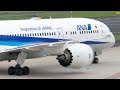 All Nippon Airways B787-9 Dreamliner Up-Close Landing and Taxi at Dusseldorf Airport