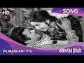 Iru Mangani Pol HD Song - Vairam